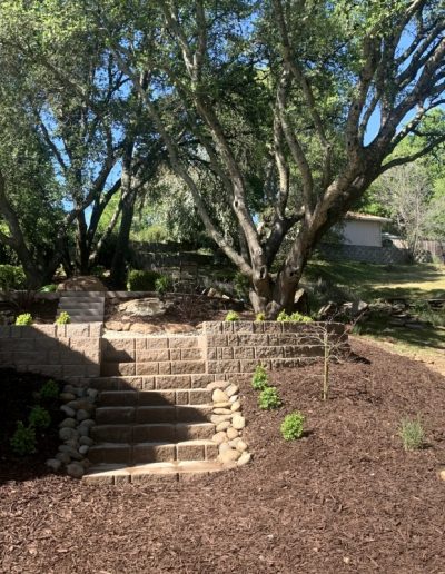 Comprehensive Landscape Design Package