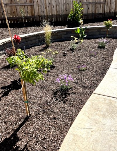 Custom Landscape Design Consultation
