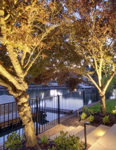 Landscape Design and Installation Services