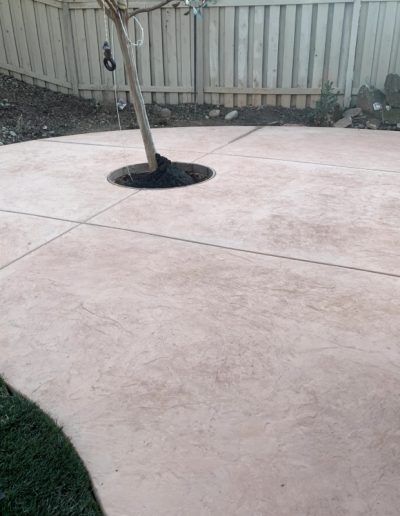 Pet-Friendly Artificial Grass Solutions