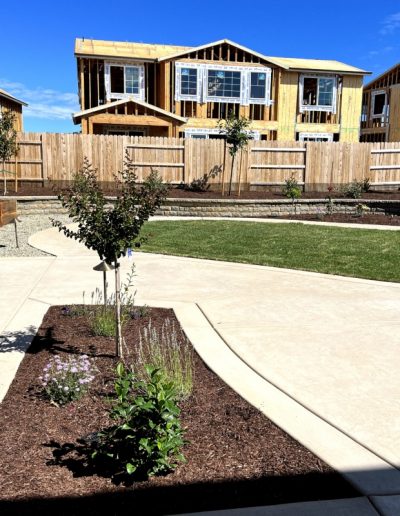 Residential Putting Green Construction