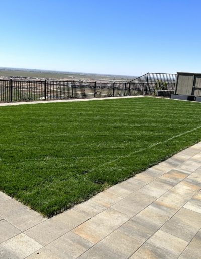Transform Your Yard with Artificial Grass and a Putting Green