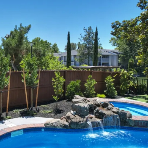 Expert Landscape Design