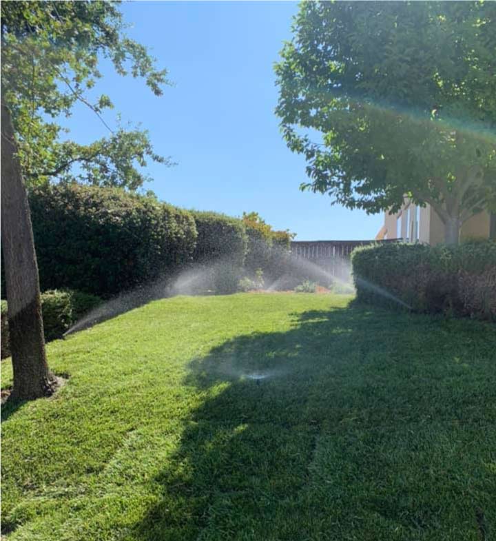 Automated lawn irrigation systems with active pop-up spray heads watering a lush green grass hillside in El Dorado Hills.