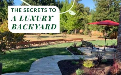 What is Landscaping?