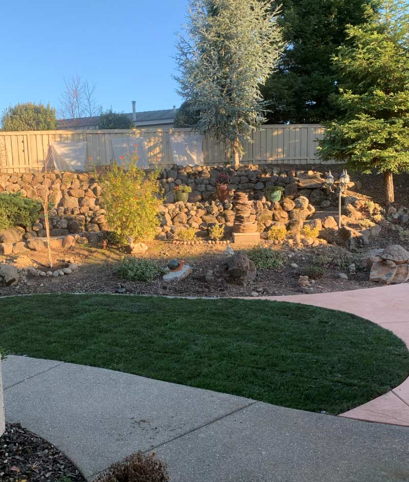 A professionally landscaped backyard featuring a lush, circular artificial turf lawn, an intricate multi-tiered natural stone retaining wall with vibrant flowering shrubs, and a smooth concrete walkway under a clear sky.