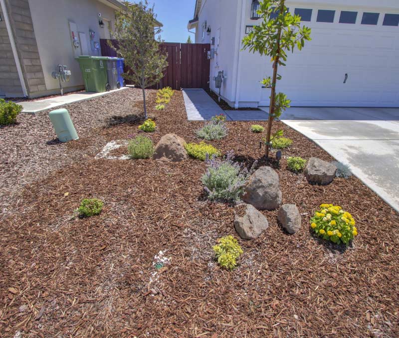 A professionally graded front yard landscape featuring a low-maintenance design with fresh dark mulch, integrated accent rocks, young shrubs, and a discreet yard drainage system near the driveway.