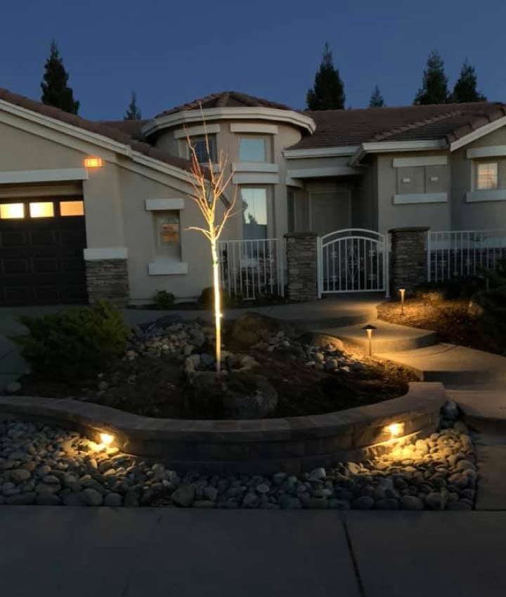 Custom front yard landscaping featuring a dramatically up-lit architectural tree, a low masonry retaining wall with integrated step lights, and a softly illuminated entry path.