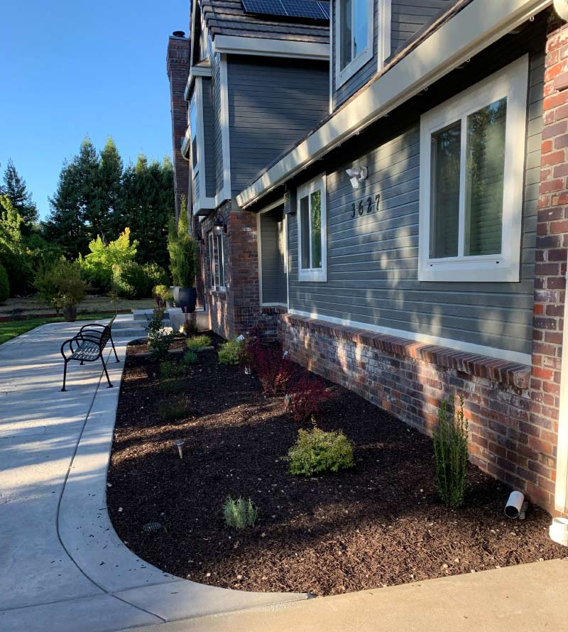 Professionally installed landscape bed with dark mulch and young shrubs running alongside a concrete walkway and two-story residential home with brick accents.