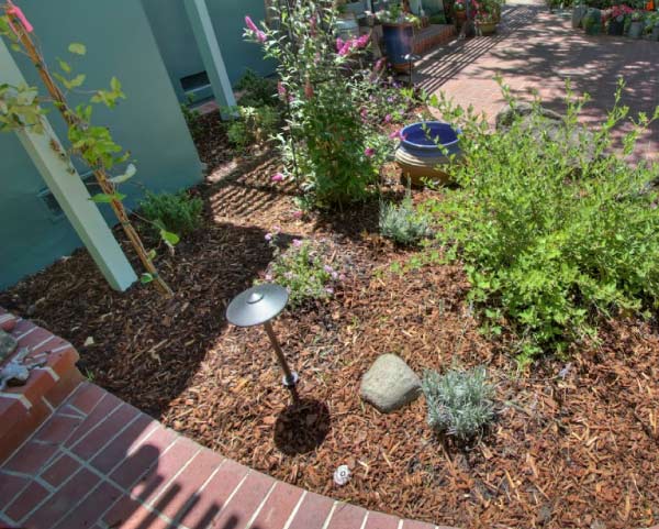 Home 5 irrigation and drainage landscaping