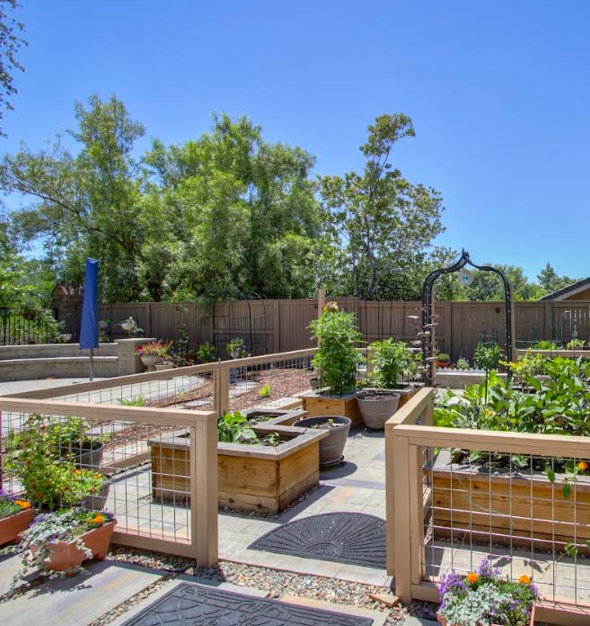 A beautifully structured backyard garden featuring custom raised wooden planter beds enclosed by a light wooden fence with wire panels. Bright green vegetables and flowers thrive in pots and beds along a clean paver stone walkway, highlighting functional and elegant residential agricultural design.