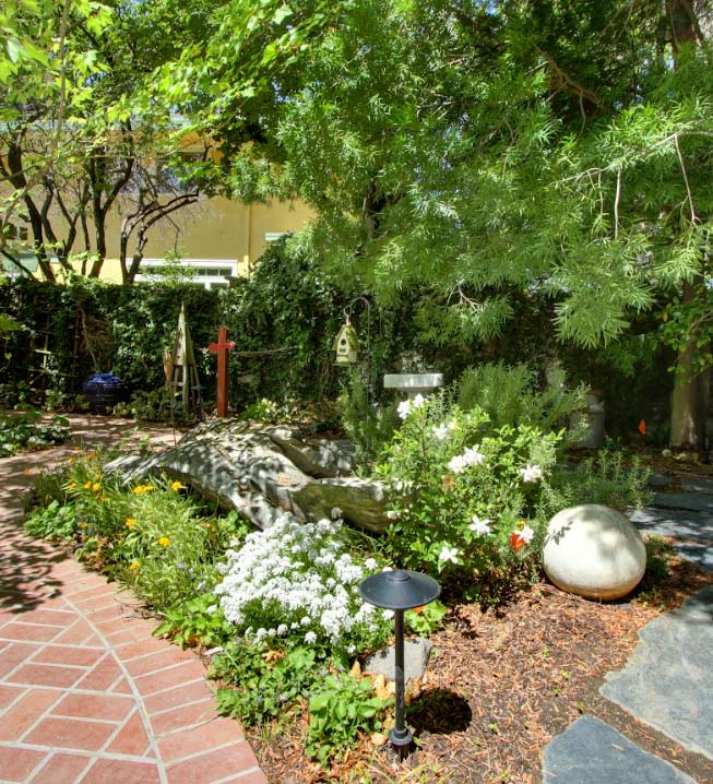 plants with irrigation system 