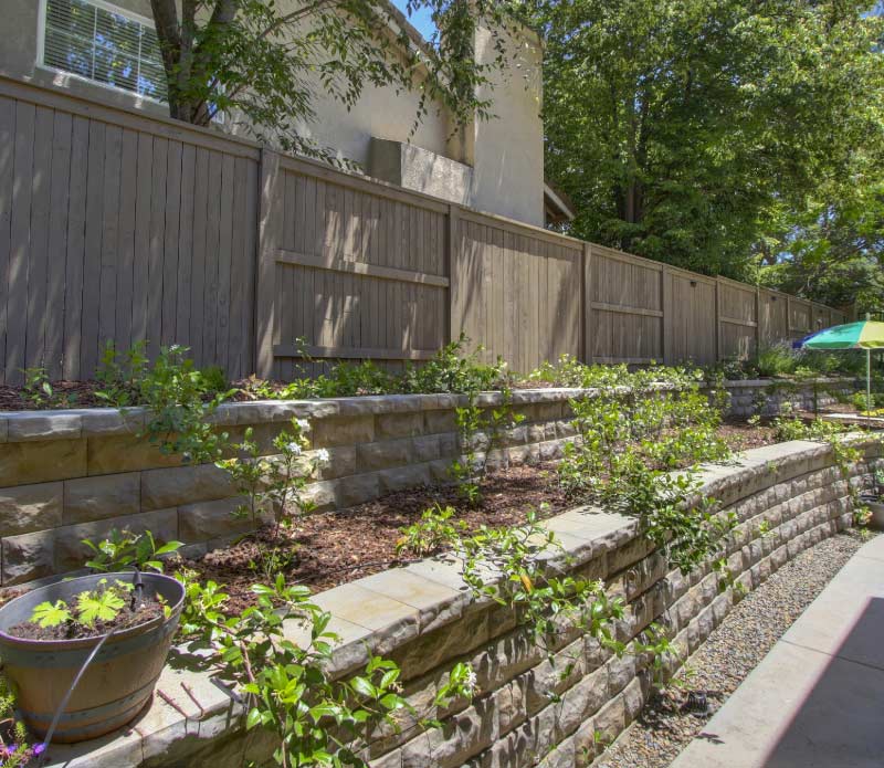A custom tiered stone retaining wall holding elevated garden beds with fresh mulch and young green plants, running alongside a clean concrete path and bordered by a tall wood privacy fence.